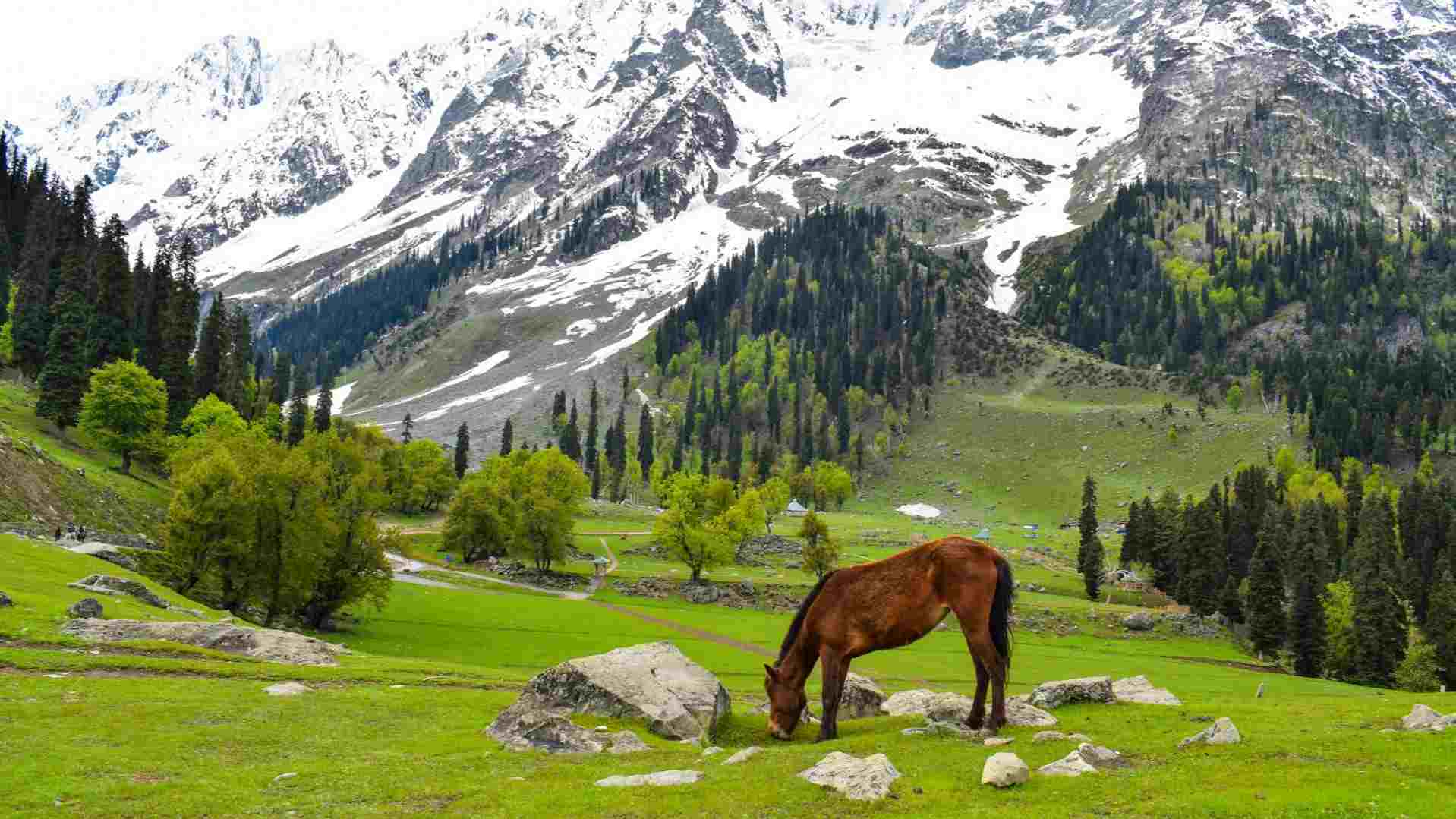 Kashmir image